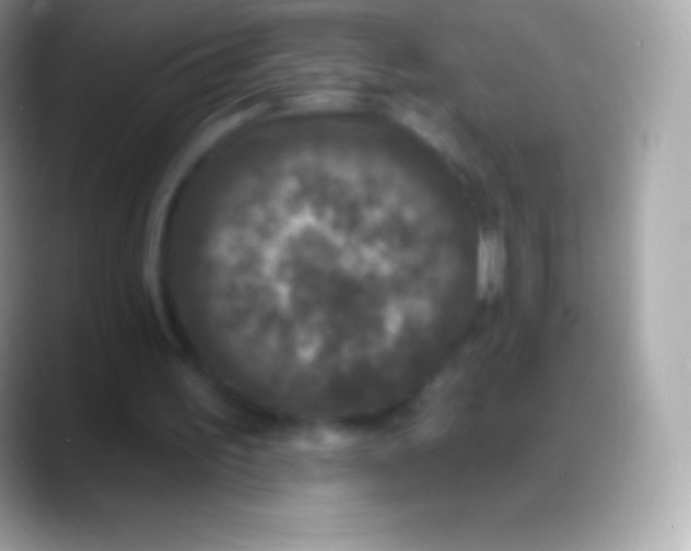 X0000088140195200706041343