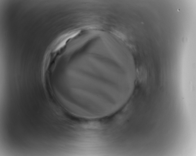 X0000088140196200706041343