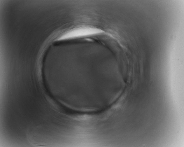 X0000088140197200706041343