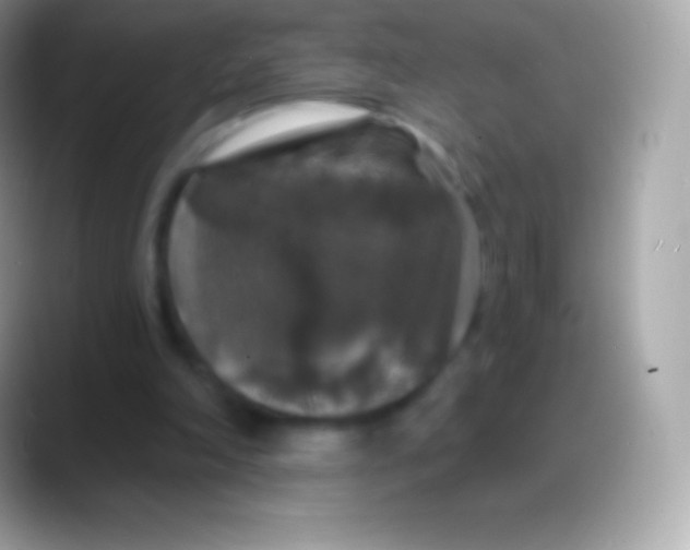 X0000088140198200706041343