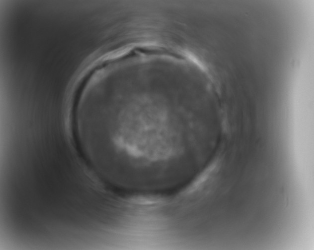 X0000088140199200706041343