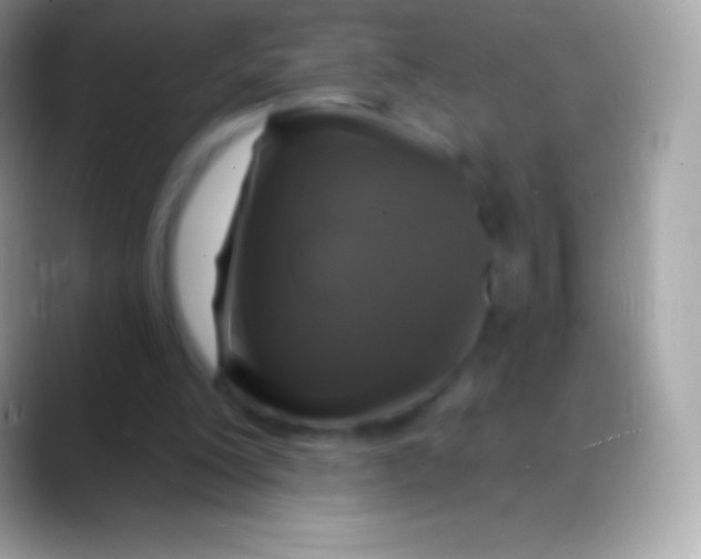 X0000088140200200706041343