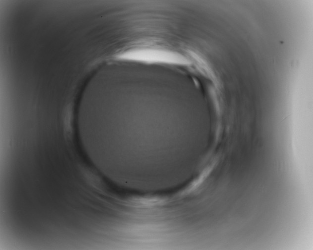 X0000088140201200706041343