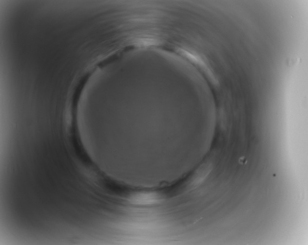 X0000088140202200706041343