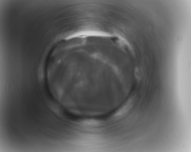 X0000088140203200706041343