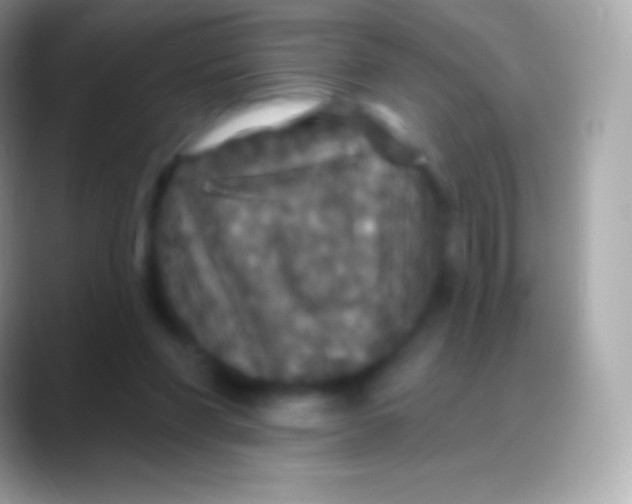 X0000088140206200706041343