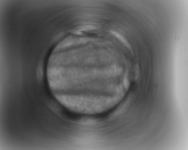 X0000088140207200706041343