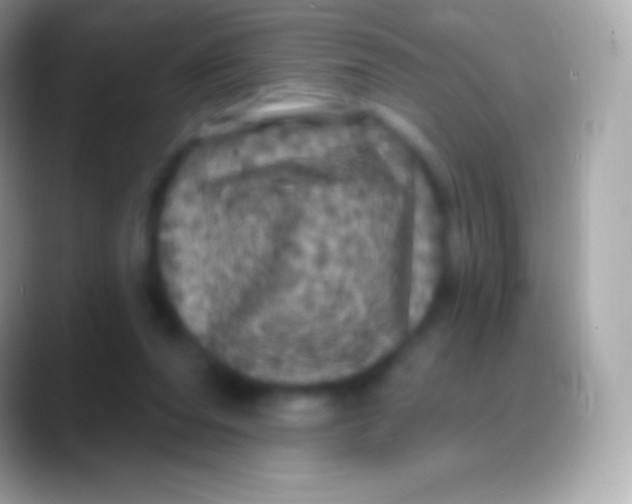 X0000088140208200706041343