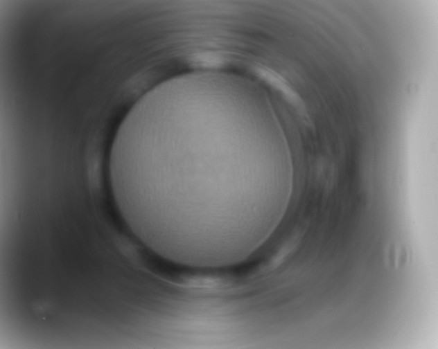 X0000088140209200706041343