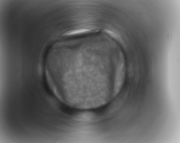 X0000088140210200706041343