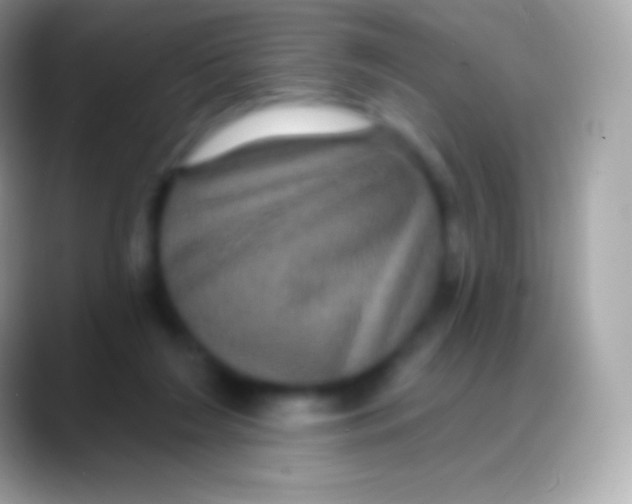 X0000088140212200706041343