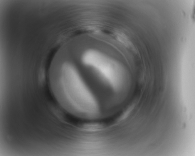 X0000088140213200706041343