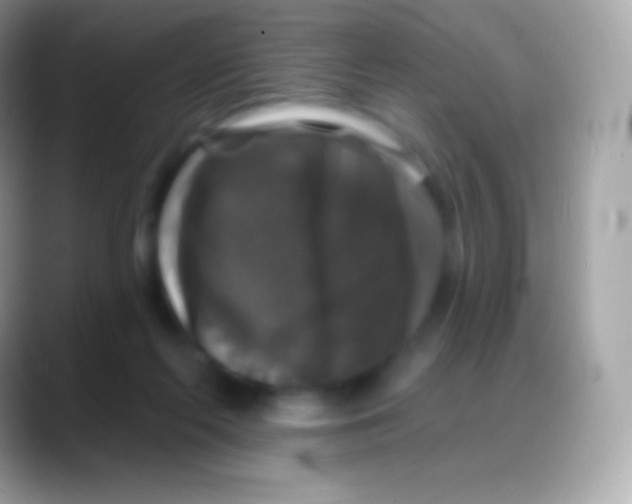 X0000088140214200706041343