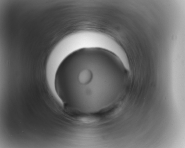 X0000088140215200706041343