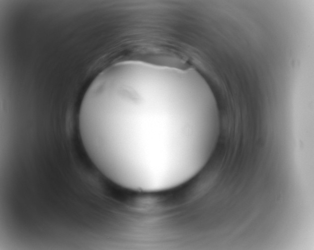 X0000088140216200706041343