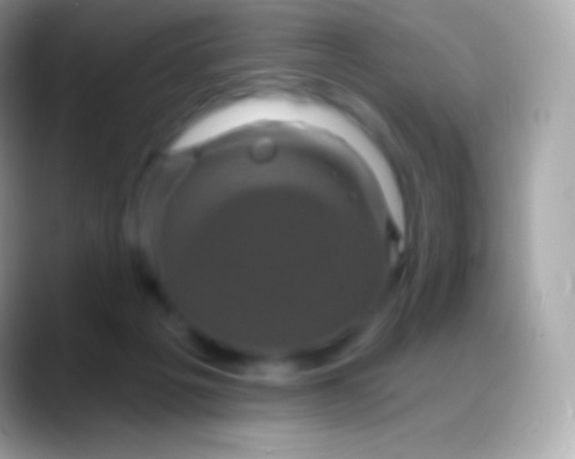 X0000088140217200706041343