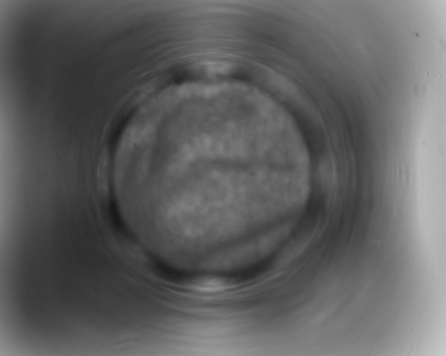 X0000088140218200706041343