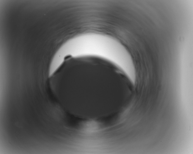 X0000088140219200706041343