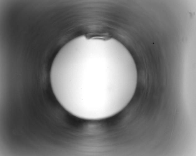 X0000088140220200706041343