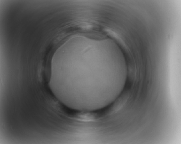 X0000088140221200706041343