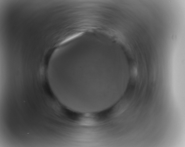 X0000088140222200706041343