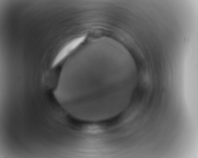 X0000088140224200706041343