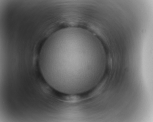 X0000088140225200706041343