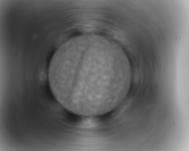 X0000088140226200706041343