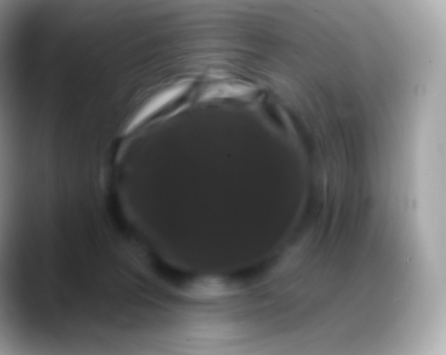 X0000088140227200706041343