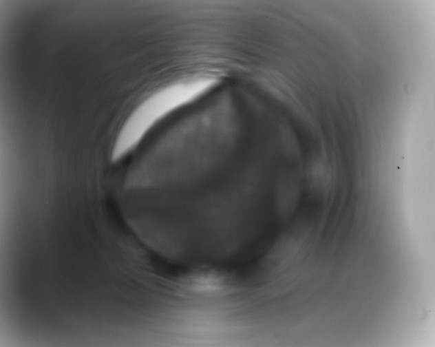 X0000088140228200706041343