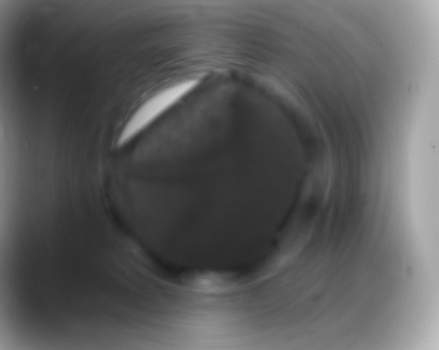 X0000088140229200706041342