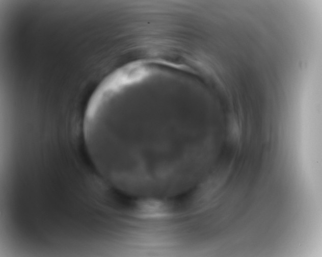 X0000088140230200706041342