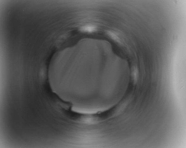 X0000088140231200706041342