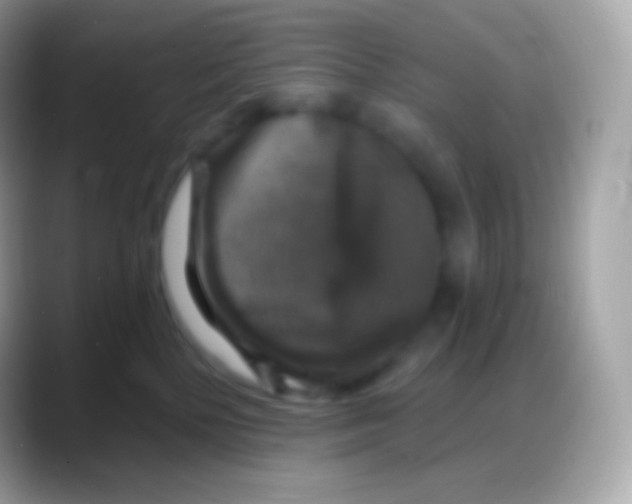 X0000088140232200706041342