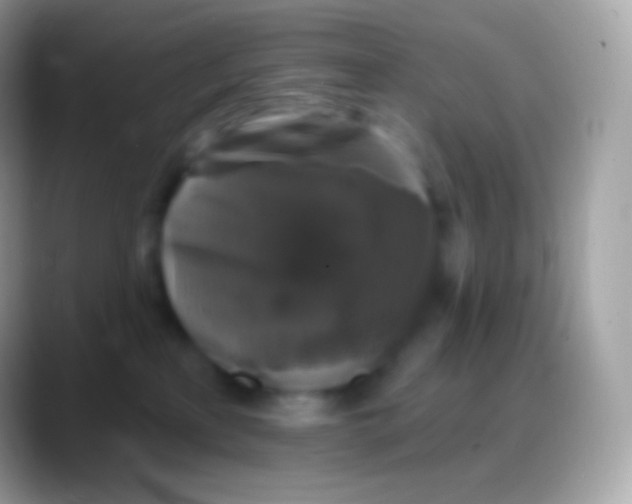 X0000088140233200706041342