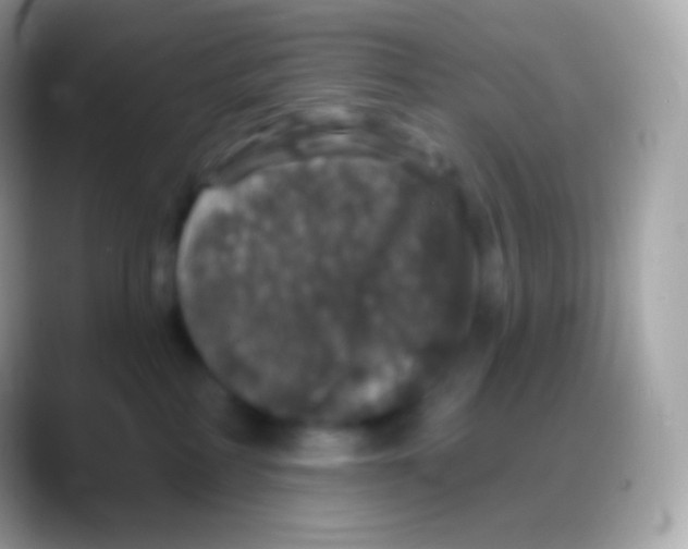 X0000088140234200706041342