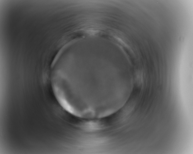 X0000088140236200706041342