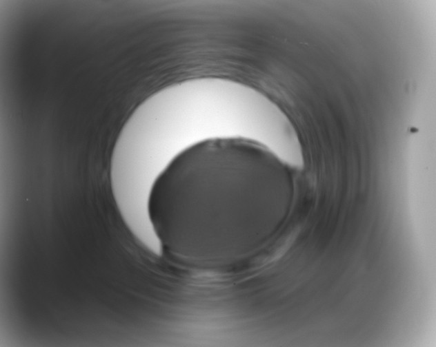 X0000088140237200706041342