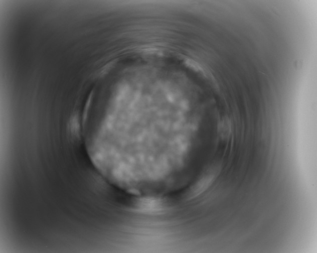 X0000088140238200706041342