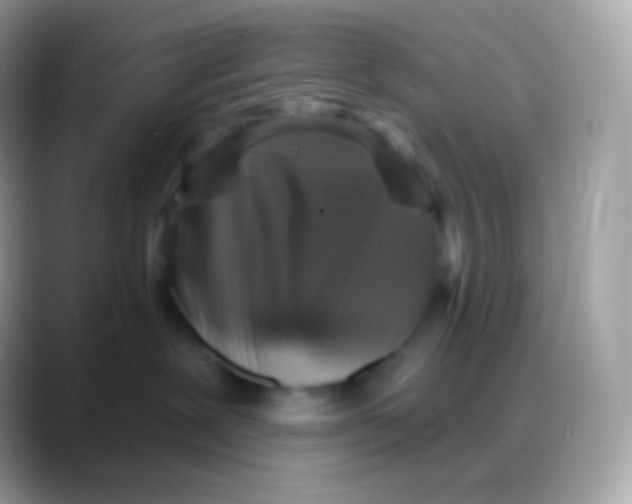 X0000088140239200706041342