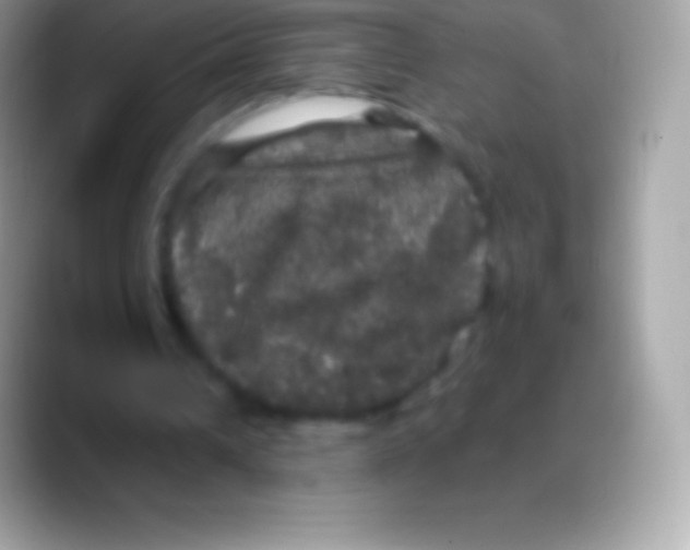 X0000088140242200706041342