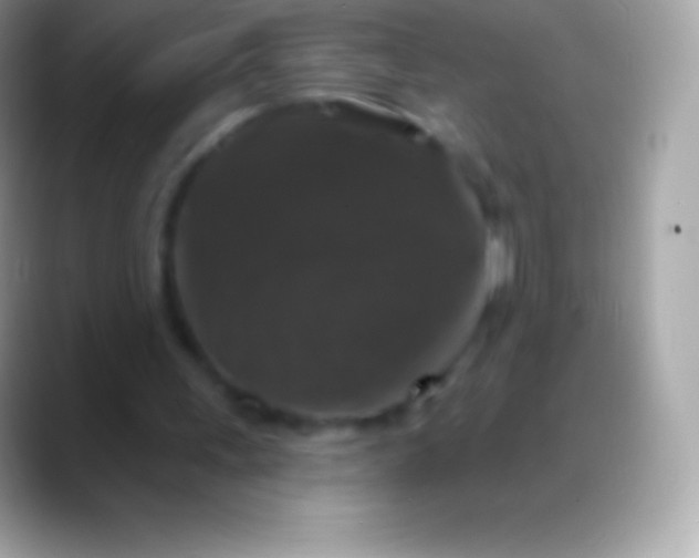 X0000088140243200706041342