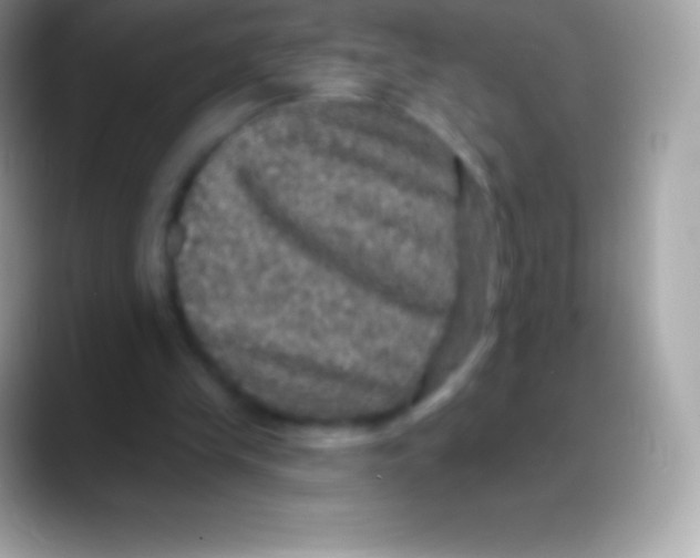 X0000088140245200706041342