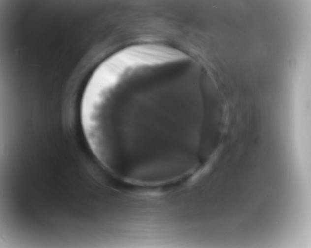 X0000088140247200706041342