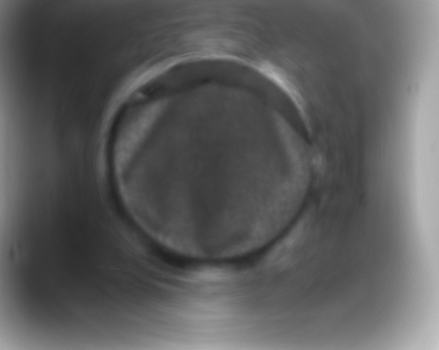 X0000088140248200706041342