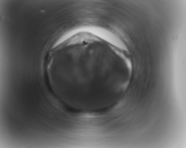 X0000088140250200706041342