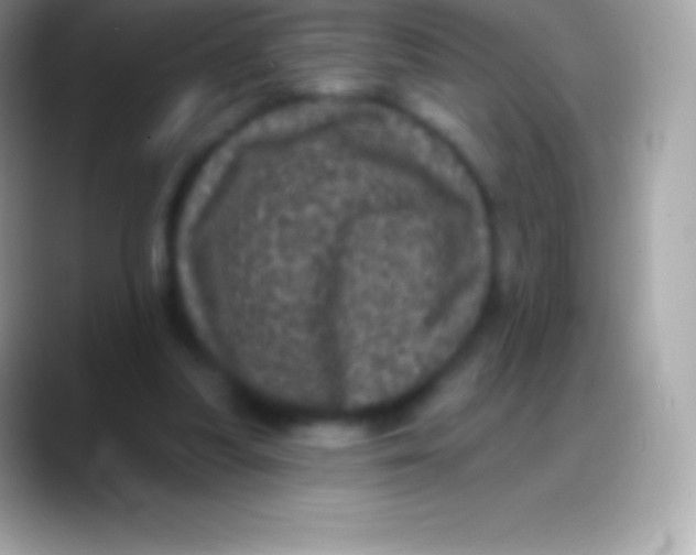 X0000088140251200706041342