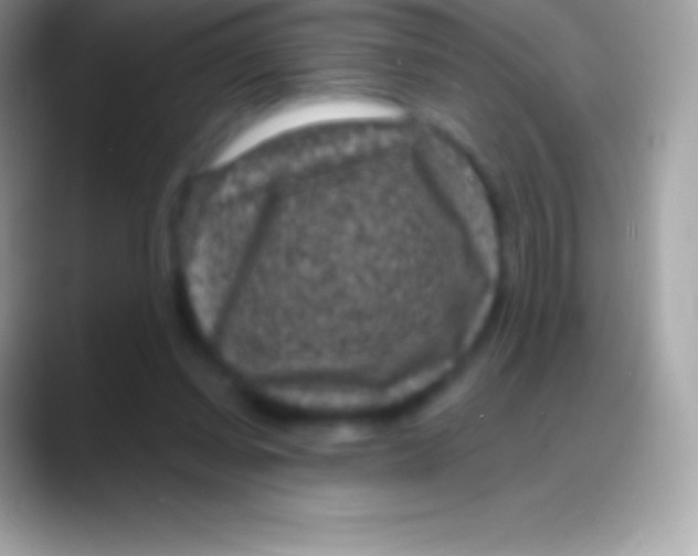 X0000088140254200706041342