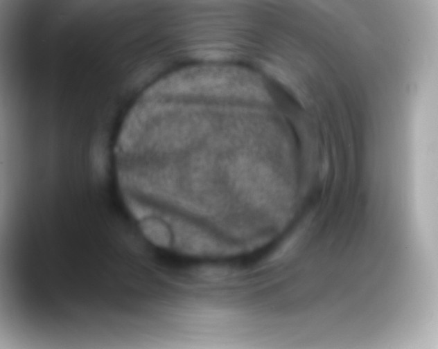 X0000088140255200706041342