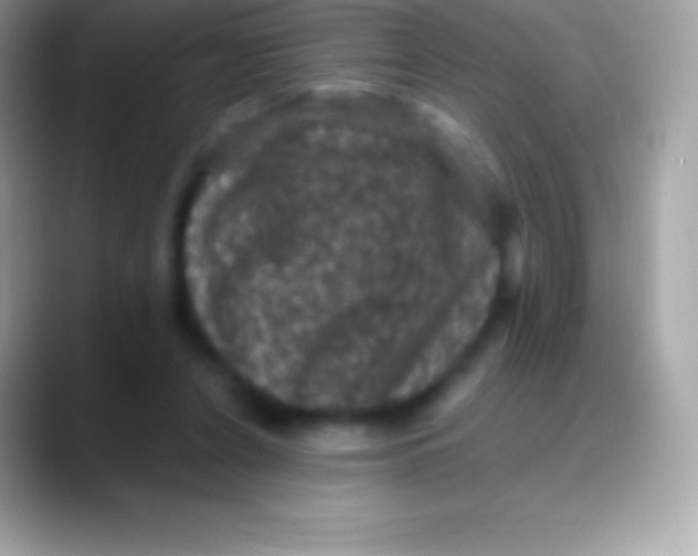 X0000088140256200706041342